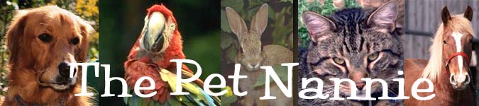 Title "The Pet Nannie" with photos of dog, parrot, rabbit, cat, and horse