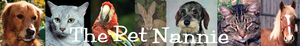Title "The Pet Nannie" with photos of dog, parrot, rabbit, cat, and horse